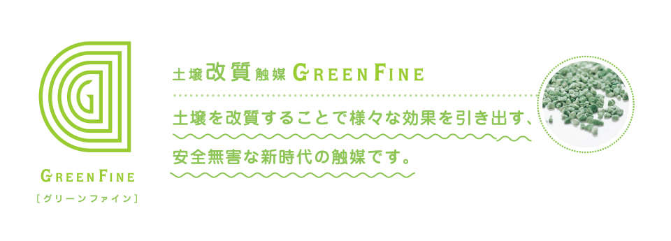 GREEN FINE